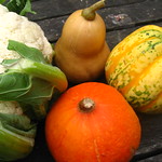 Squash and caulis!