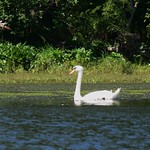 kayaking july 2010 070