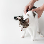 uncooperative (365.3.24)