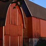 Barns