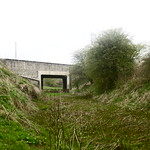 Railway cutting at Dove Holes (Peak Forest Tramway) May 2017