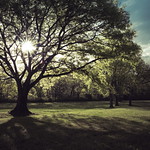 Have you hugged a tree today?