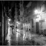 Looking for distraction