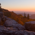 Morning Sunlight in the Dolly Sods