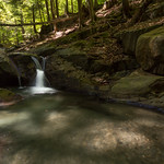 Light into the Hollow