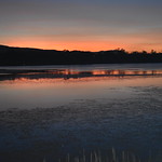 Wetland sunset