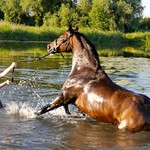 This week's FlickrFriday theme and tag is: #Summervacations