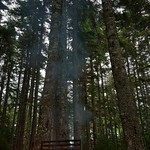 Campfire at Fundy National Park