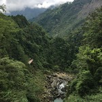 Mountain forest ，TAIWAN