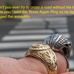 Texas Aggie Ring Gets His Armadillo Back