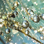 The creation of the Water Universe