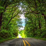 Traveling Wonder Road (1 of 1)