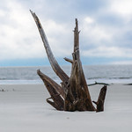 Driftwood Beach
