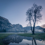 Yosemite Dawn