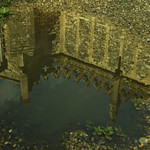 Emerging from the shingle 2