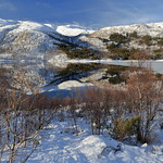 Partially frozen Innerfjorden-inner part of Kanstadfjorden. South Hinnoya island-Lofoten-Norway. 0013