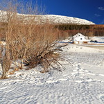 Birch trees-white farm beside E10-Kong Olav Vs vei. Hinnoya-Lofoten-Norway. 0009