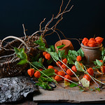 Nature morte - Physalis