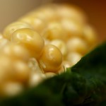 Found In The Kitchen.