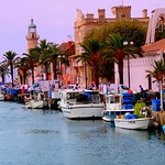 LE GRAU DU ROI, LE PORT.