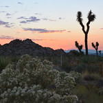 Sunset near Hidden Valley Campground