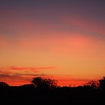 More early morning sun