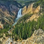 Lower Canyon Falls Yellowstone