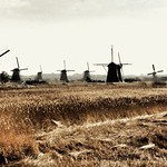 Kinderdijk.