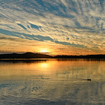 Sunrise Waterscape and Reflections on the Bay