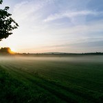 Blue hour : Foggy morning