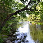 On the Banks of Mersey River