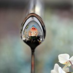 Upside down reflection