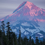 Mt Hood