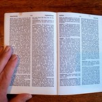 Fowler on superstitions 176-365 (11)