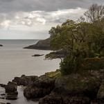 Autumnal Inlets at the Mouth of the River Dart