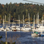 Burton Marina