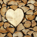 Provviste per l'inverno - for a warm winter...