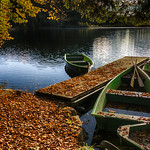 Lumi&egrave;re d'automne