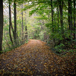 The Beauty of the Unknown