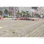 descanso dominical