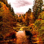 Autumn at River Garry