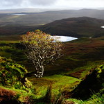 The Quiraing, Isle of Skye 2017 (43)