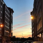 Do not go gentle into that good night, Old age should burn and rave at close of day; Rage, rage against the dying of the light.