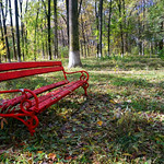 The red bench