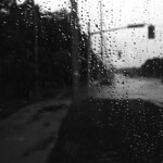 Ferrania P30 Alpha Test Roll 1: Rainy Bus Shelter