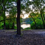 Beginning of The Fall