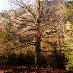 Ordesa Oto&ntilde;o 2017 (4)