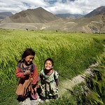 So nice (p-suman basyaal)