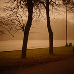 Cold Morning. November