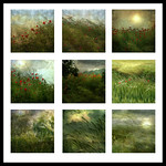 Serie : Salon Carrousel du Louvre, Paris, TABLEAU 3